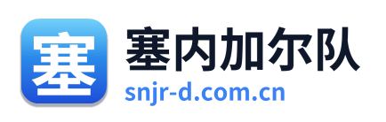 塞内加尔队